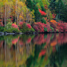 Autumn  reflection