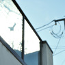 turn Left (08)