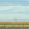 turn Left (14)