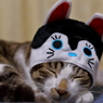 おやすみ。