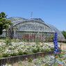 植物園６