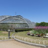 植物園７