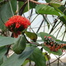 植物園１２