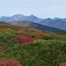 穂高連峰を望む