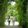 greenwalk