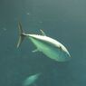 DSCF5174_624