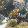 DSCF5189_624
