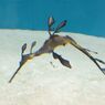 DSCF5193_624
