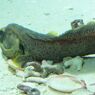 DSCF5197_624