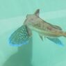 DSCF5211_624