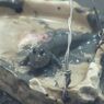 DSCF5213_624