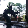 手水舎_龍_沼袋氷川神社