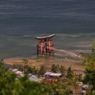 山の上から鳥居を望む