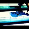 shadow24
