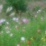 秋の足音