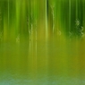 Various green stories