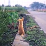 思えば遠くへ来たもんだ