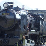 P9250019_01