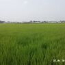 100731-090207