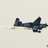  AIRRACE/エアーレース千葉2017