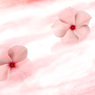 pink cloud