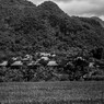 太陽の色濃き土地　