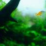 DSC_0005_DxO