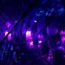 DSC_0037_DxO