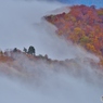 雲の中の紅葉