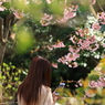 花のような人　～美髪の君～