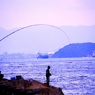 釣り人　　釣れたぁ～