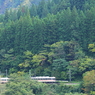 電車君を追いかけて～どこまでも♪