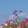 十月の空