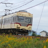 電車君とセイタカアワダチソウ