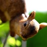 どうしたの？