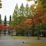 大学構内にて