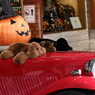 街角のハロウィーン
