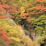 滝と紅葉