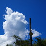 夏空