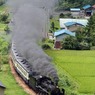 田園を行く