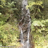 鯉谷滝