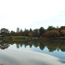 紅葉の日本庭園19