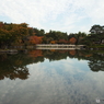紅葉の日本庭園20