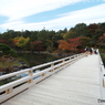 紅葉の日本庭園34