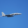 入間航空祭2017 P1130130