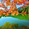 鏡面の秋景 ～南伊奈ヶ湖～