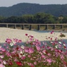 十月の川風