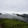 屋久島縦走４　雲上雲下