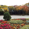 花壇と紅葉