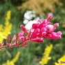 DSCF0304